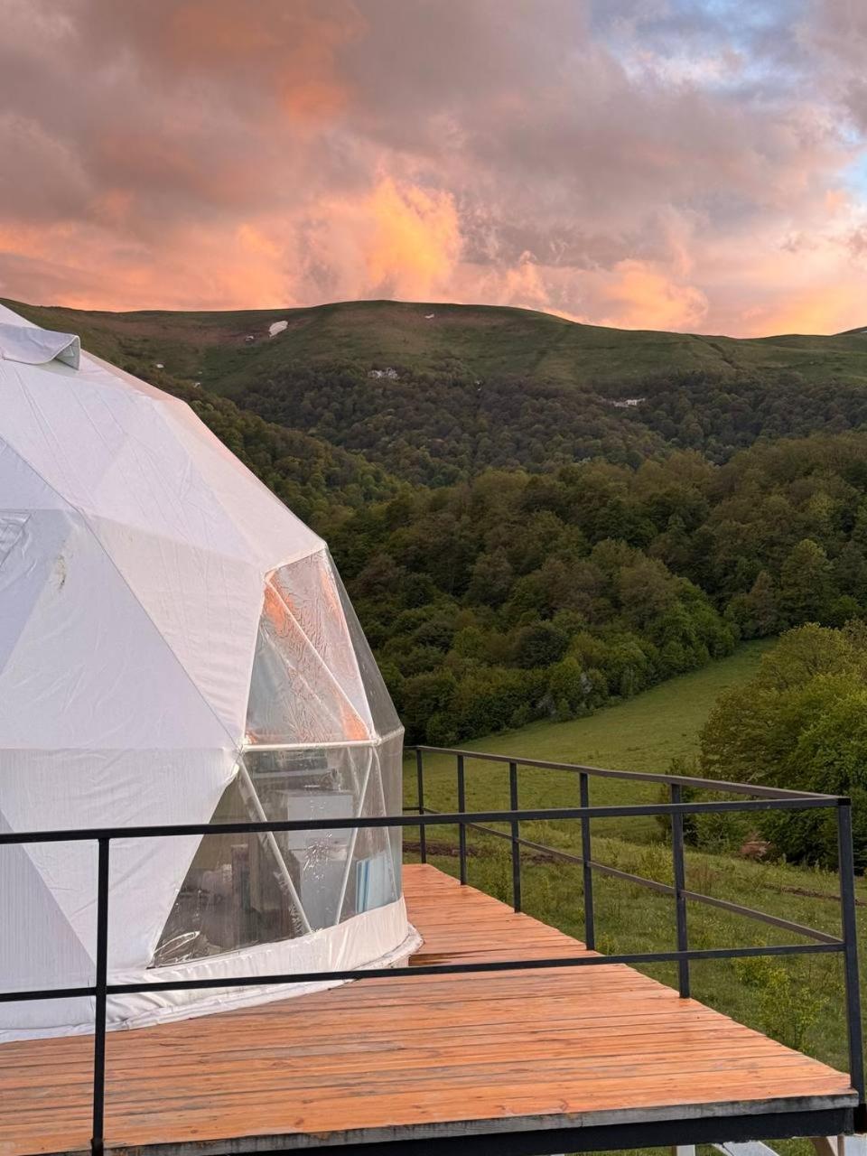 Glamping *